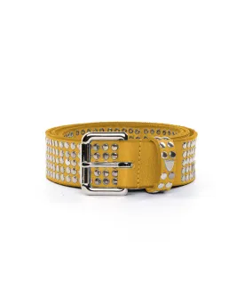 5.000 Studs Color Belt