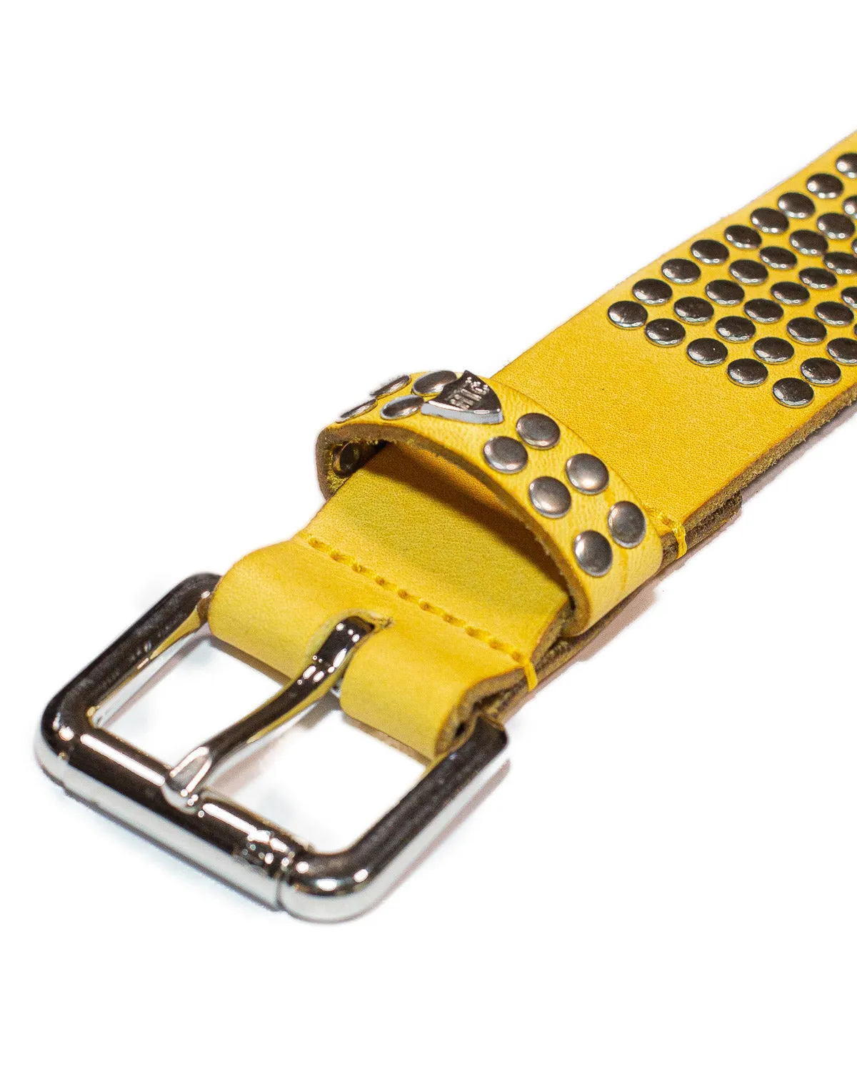 5.000 Studs Color Belt