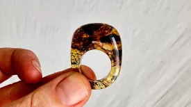 Amber Ring. Gorgeous. Size 5.5. 0812