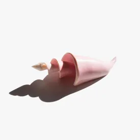 Carved Conch
