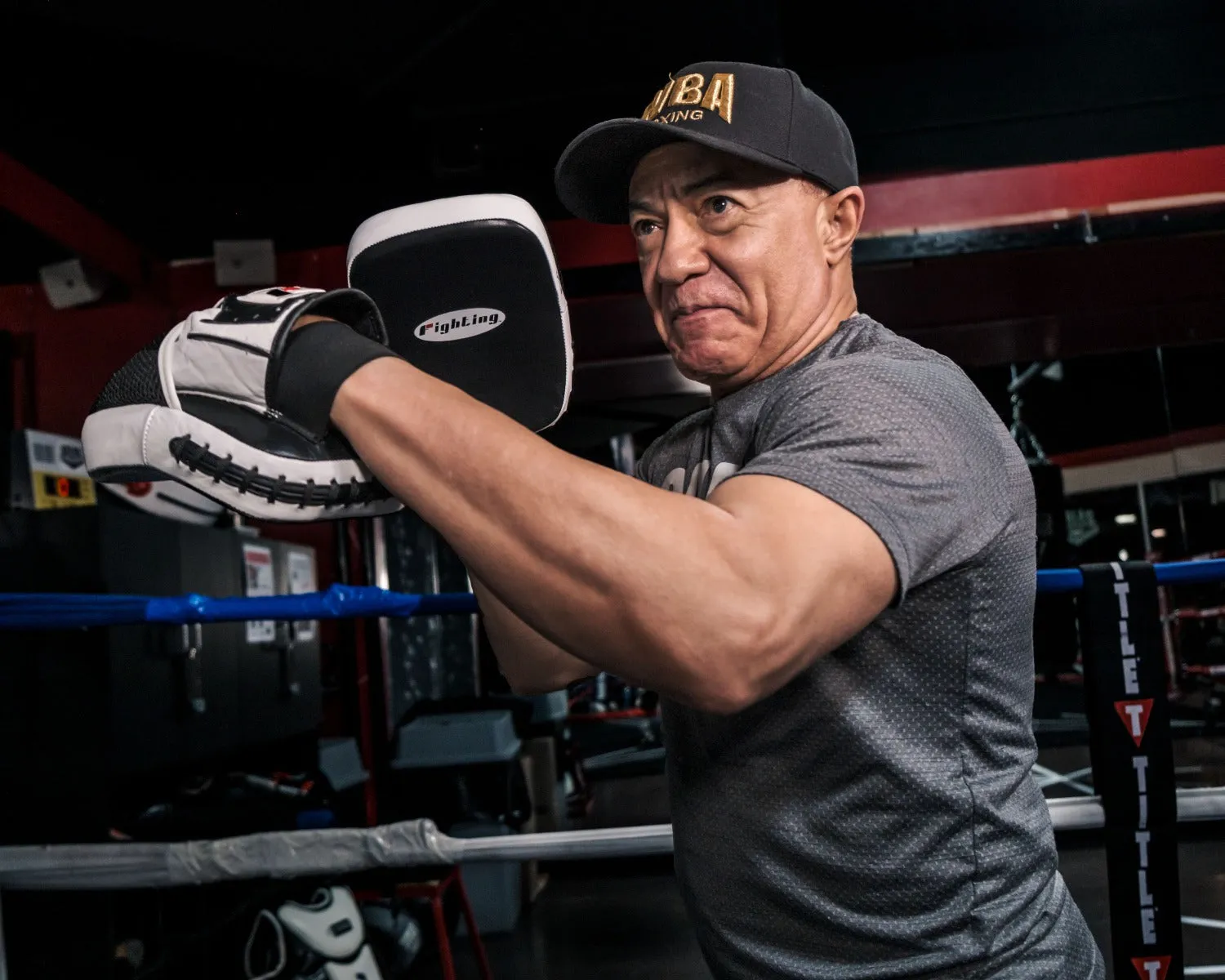 Fighting Punch Mitts