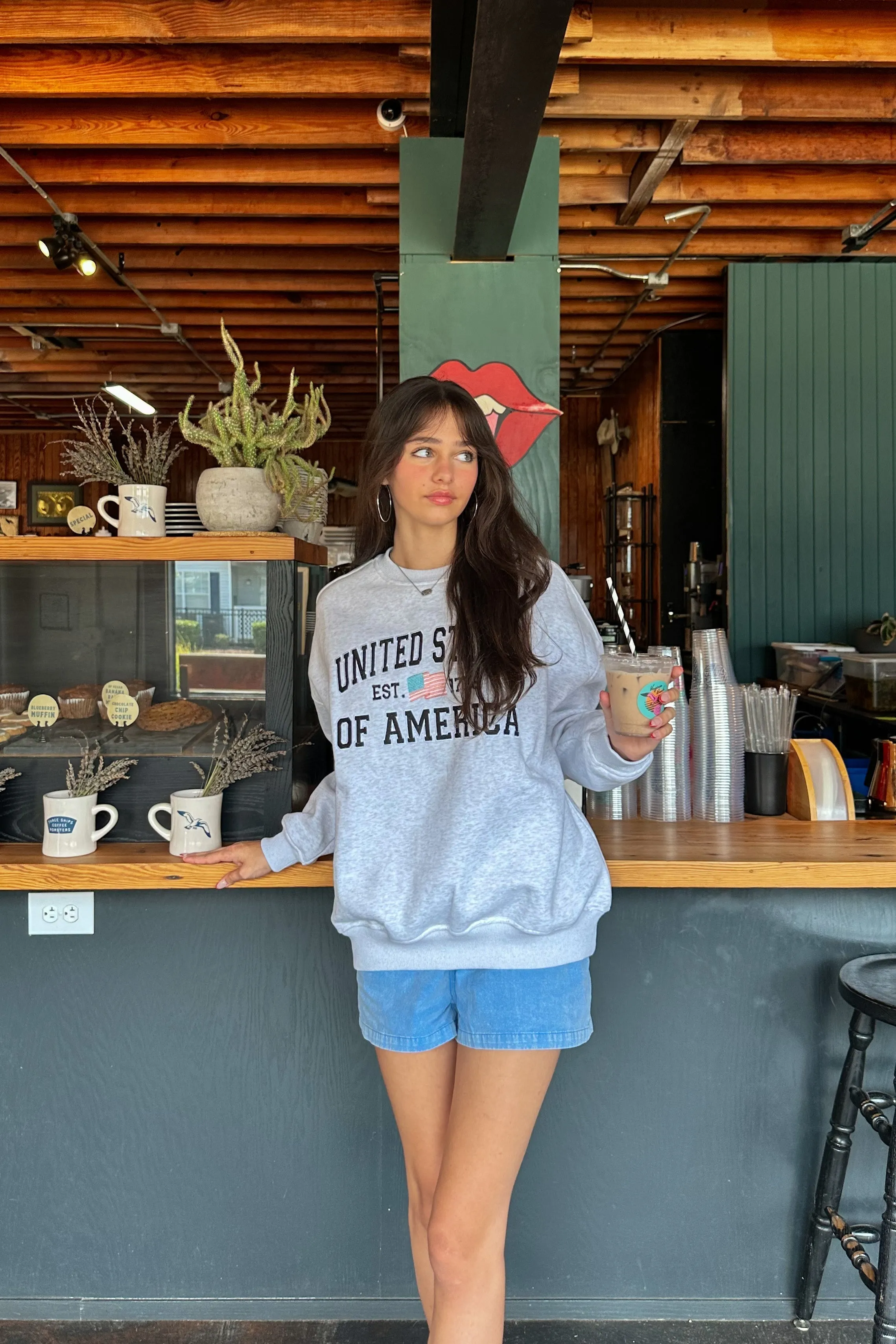 USA Embroidered Sweatshirt | Restocked