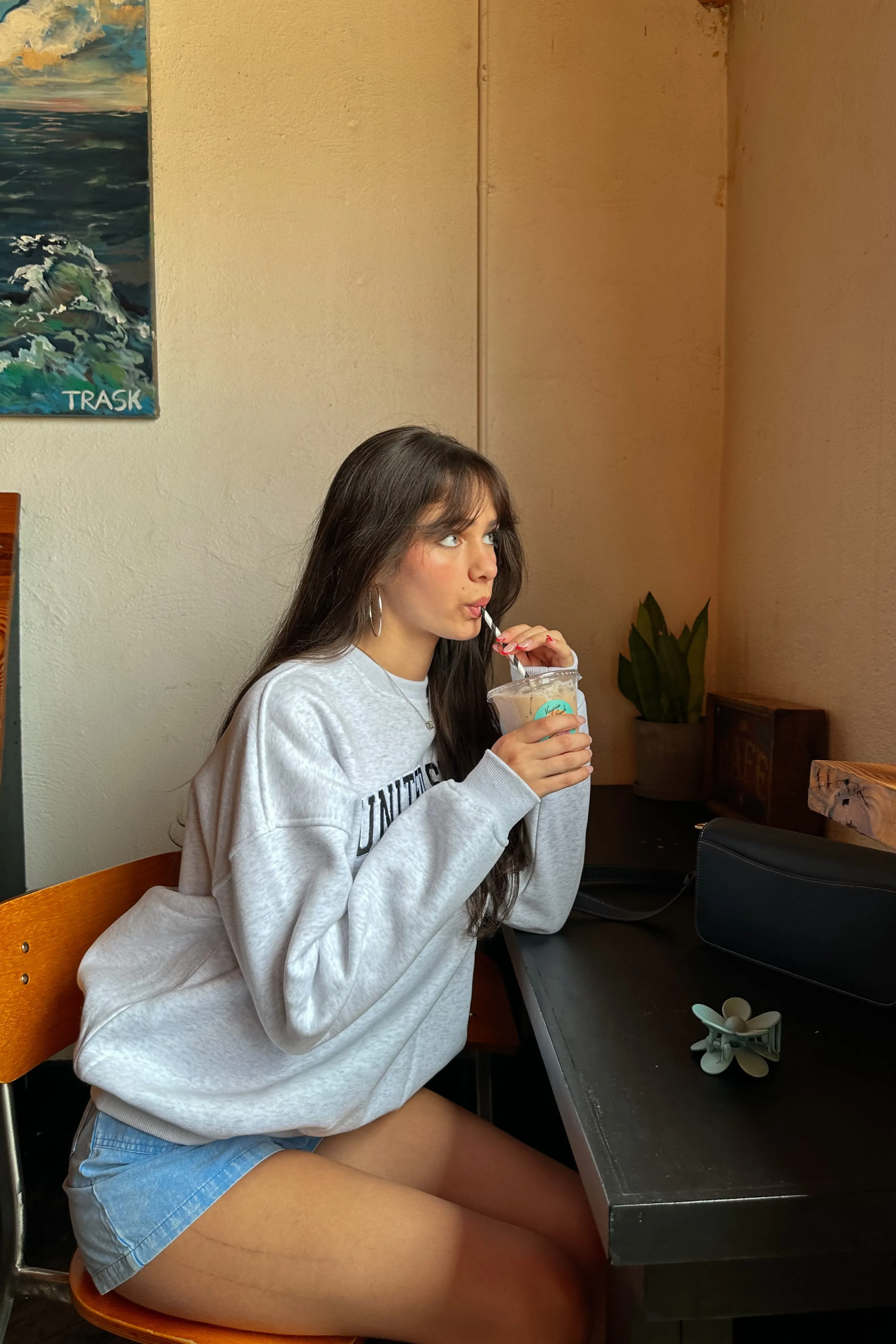 USA Embroidered Sweatshirt | Restocked